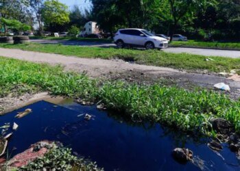 Sewage spill on South Boulevard accumulates months of pollution