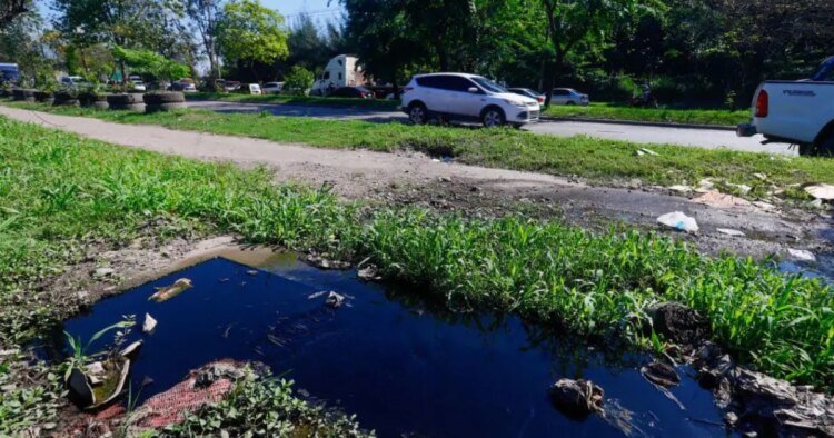 Sewage spill on South Boulevard accumulates months of pollution