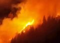 Forest fire in Carinthia out of control – great danger in Switzerland too