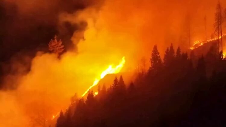Forest fire in Carinthia out of control – great danger in Switzerland too