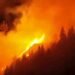Forest fire in Carinthia out of control – great danger in Switzerland too
