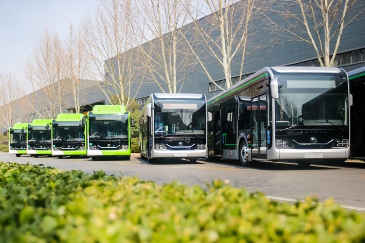16 more bus routes will be established in Tashkent and 70 new bus stops will be built