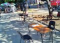 Cuba: The OLA denounces “coercion” in universities to sign “for the Homeland”