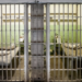 USA: Last hearing for one of the Cubans sentenced to death in Florida