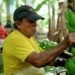 Minister Juan Carlos Vega does not rule out a ‘special decision’ to bring bananas resistant to Fusarium Race 4 to the country | Economy | News