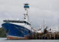 Panama will be able to export yellowfin tuna to the United States