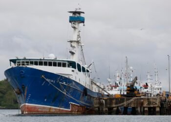 Panama will be able to export yellowfin tuna to the United States