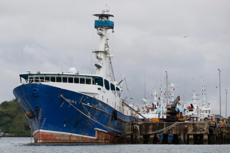 Panama will be able to export yellowfin tuna to the United States