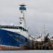 Panama will be able to export yellowfin tuna to the United States