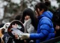 Debt-laden Japan should review spending on gender equality, survey finds