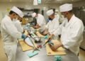 Japan freezes visa applications for foreign restaurant workers
