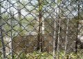 Zoo employee admits to burning wife’s body in incinerator
