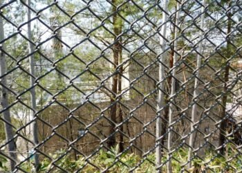 Zoo employee admits to burning wife’s body in incinerator