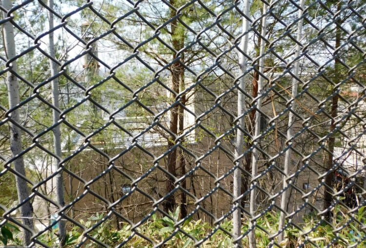 Zoo employee admits to burning wife’s body in incinerator