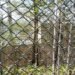 Zoo employee admits to burning wife’s body in incinerator