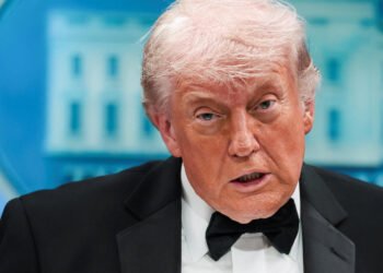 Trump said that he is talking to Putin and Zelensky