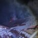 The Russian Federation attacked Zaporizhzhia: a man was injured, there is damage