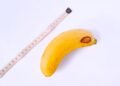 Micropenis: what it is, causes and sexual life as a couple – Sexuality