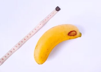 Micropenis: what it is, causes and sexual life as a couple – Sexuality
