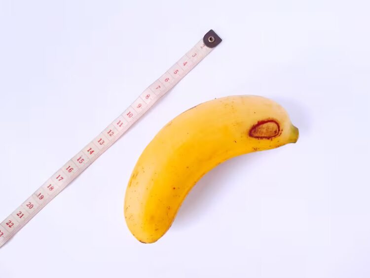 Micropenis: what it is, causes and sexual life as a couple – Sexuality