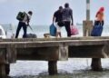Boat carrying cow and babies: 11 migrants charged | Local News