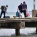 Boat carrying cow and babies: 11 migrants charged | Local News