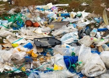 Public works for throwing garbage in unspecified places will be introduced in Kyrgyzstan