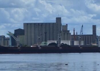 Cuba: US exports grew 148% in the last 5 years