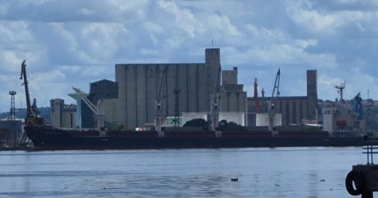 Cuba: US exports grew 148% in the last 5 years