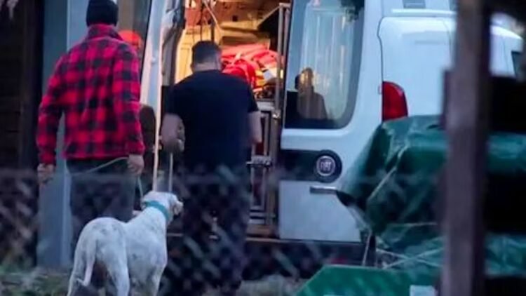 Dog attack in Lombardy: woman found dead – owner in sight