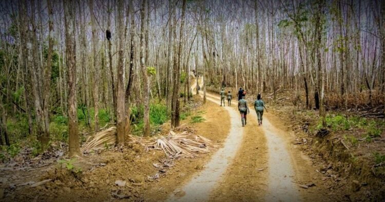 Search for man who disappeared near Bunsee Trace volcano | News Extra