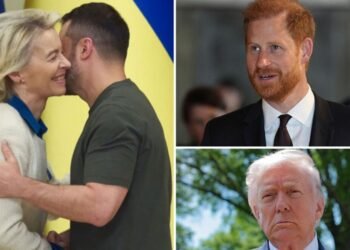 The loan is over and Harry gives Trump unsolicited advice