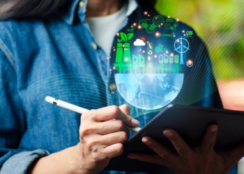 Green business: who is making money from sustainability and what are the ideal sectors to invest in or develop businesses