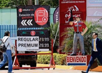 Government cuts spending to inject gasoline subsidies