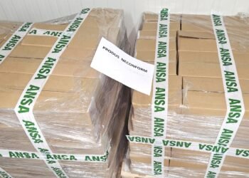 (PHOTO) About 1.5 tons of food were not allowed into Moldova. What ANSA experts discovered