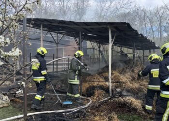 Fire in Chisinau: a barn caught fire on the territory of a stable