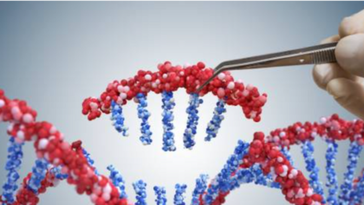 They investigate the DNA of Andean inhabitants in Argentina: they can drink water with arsenic and this has science thinking