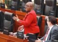 Ex-housing minister raises concerns over $3.4B HDC contracts