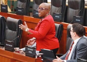 Ex-housing minister raises concerns over $3.4B HDC contracts