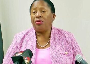 Penny calls for stricter Pigeon Point safety | News Extra