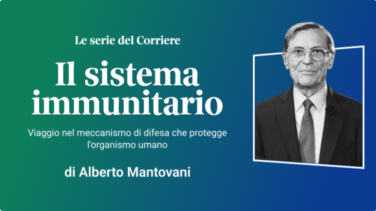 When the orchestra goes out of tune: the errors of immunity (The immune system) | The Courier Series