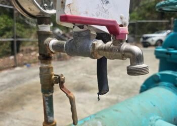 Nine released in WASA vandalism investigation | Local News