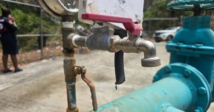 Nine released in WASA vandalism investigation | Local News