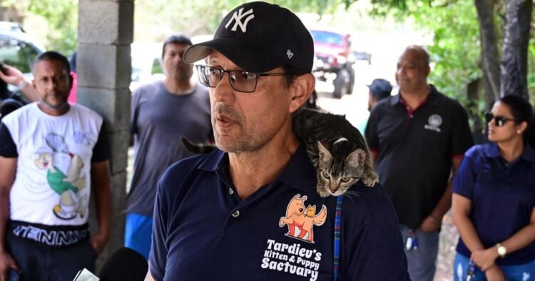‘THREATS’ TO STRAY CATS | Local News