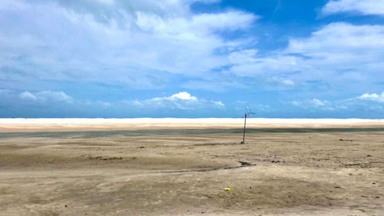 Energy deficit and ‘Super El Niño’ phenomenon increase pressure on the electrical system in Colombia