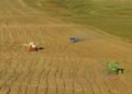 Cabinet Adopts Measures to Improve Vegetable Supply, Support Farmers