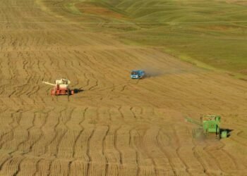 Cabinet Adopts Measures to Improve Vegetable Supply, Support Farmers