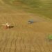 Cabinet Adopts Measures to Improve Vegetable Supply, Support Farmers