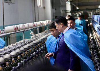 ‘Mogol Wool’ LLC Expands Capacity Under ‘White Gold’ Program