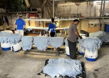 Mongolia to Implement Project to Reduce Hazardous Chemical Use
